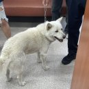 장충농장 이미지