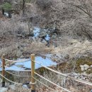 구룡자동차야영장 이미지