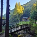 자연-이미지 이미지