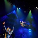 일신인터내셔날 이미지