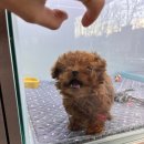 그레이동물병원 강남점 이미지