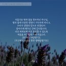 땅살림생명살림