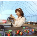 소란농장 이미지