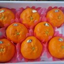 훈이청과 이미지