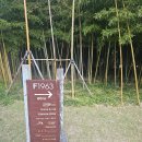 테라로사커피팩토리1963 수영점 | 부산 대형카페 테라로사 수영점, F1963 둘러보고 커피 한 잔 하기 좋아요!