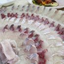 아름이 | 양양맛집 강원도 여행 후진항 가성비 끝판왕 횟집 아름이네 후기