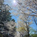 지리산한의원 이미지