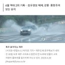 제주 서귀포 220㎜ 물폭탄…"80년만에 한번 발생할 강우량"(종합) 이미지
