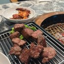 수원-0135 다이닝코드