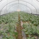 성하농장 이미지