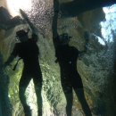 에어로빅 이미지