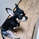 부산 리브동물의료센터 이미지