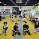 파워합기도 이미지