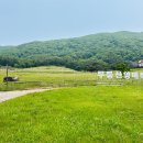 소나무 흑염소 목장 이미지