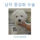 해동물병원 이미지