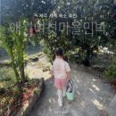 파넬테라스한달살기애월독채팬션 | 서쪽 감성 숙소&#34; 아이랑 가기 좋은 애월 곽지, 협재, 금능해변 근처: 한달살기, 보름살기, 10일살기 추천