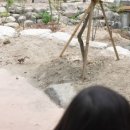 동명항생선구이 이미지