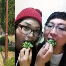 춘향이와 방자 이미지