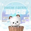 페페(pepee) | 안산 본오동 애견스파전문 미용전문 러비더비