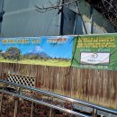 양지스크린골프장 이미지