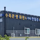 엔젤아쿠아펫가든 | 군산 수송동 가볼만한곳 추천, 엔젤아쿠아펫가든 &amp; 카페만월경🐟🐶☕️