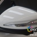 페트라모터스 이미지