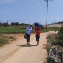 영미농장 이미지