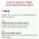 공기수비대안양지부