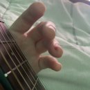 슬픈 땐 고양이와 <b>햄스타</b>