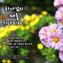 PICTURE&TEXT_20241124_하나님의 때를 기다리라!_사무엘상 1장 20절_오순절 후 스물일곱 번째 주일 & 왕이신 그리스도 이미지