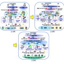 보안전문가교육, [시스코 시스템 ]BGP (1) _ 기본 이론 및 설정, IT839 기반기술 BcN의 배경과 발전 이미지