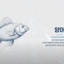 대한사료 이미지