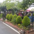 바다로 가는 길목 이미지