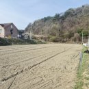 성진농장 이미지