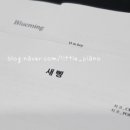 리틀피아니스트음악교습소 이미지