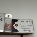 디온왁싱 | 화정눈썹왁싱 디온브로우 세미아치눈썹 후기