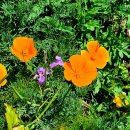 고흥공용버스터미널 이미지