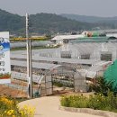 우성1농장 이미지