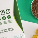 자담인영힐링