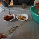 신생대게수산
