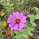 논공(대구) 이미지