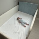 511 | 저상형아기침대 더베드캠프511 프리지아 내돈내산 실사용 솔직후기