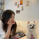 시대빌딩 이미지