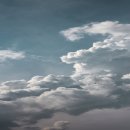 맛있는 김밥천국 이미지