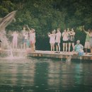 돌고래PC 이미지