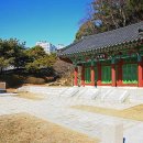 부산과학관 공원 이미지