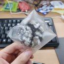운암종로약국 | 12월 넷째 주 : 부지런한 돼지의 일상 엿보기