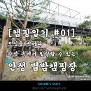별밤캠핑장 이미지