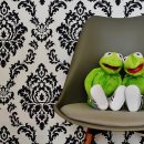 성인기초영어A 이미지