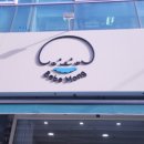 김해 강아지분양 베베몽 이미지